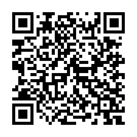 QR code for 290DLV