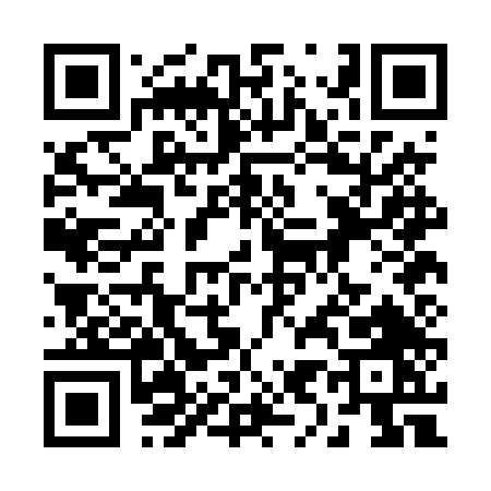 QR code for 290DT