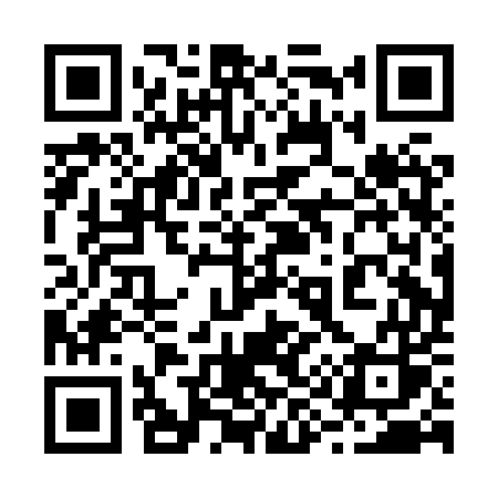 QR code for 290HUS