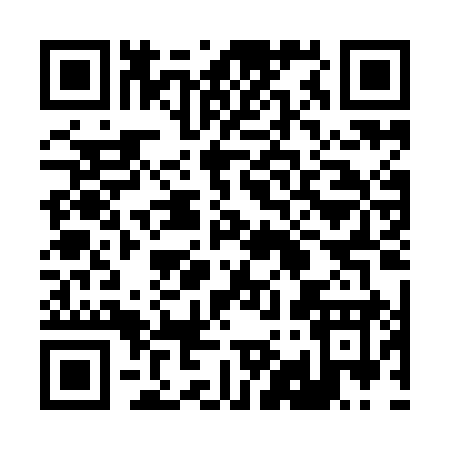 QR code for 290II
