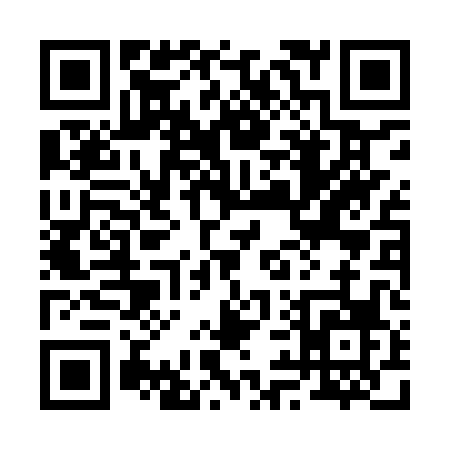 QR code for 290IP