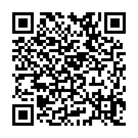 QR code for 290MP