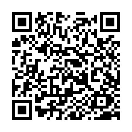 QR code for 290O