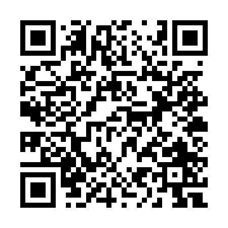 QR code for 290PP