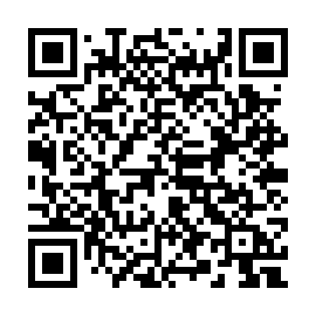 QR code for 290PWA