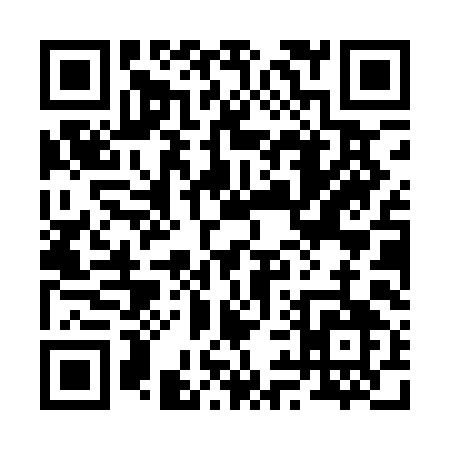 QR code for 290QI