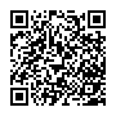 QR code for 290SO
