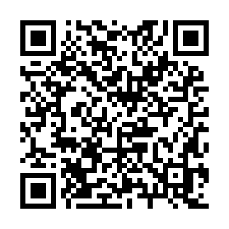 QR code for 290YLJ