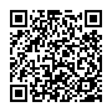QR code for 291DAE