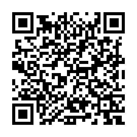 QR code for 291I