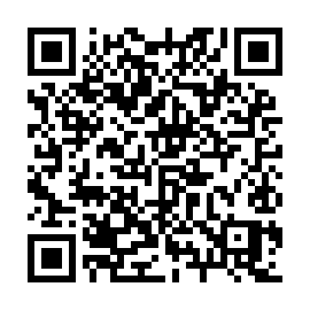 QR code for 291IIQ
