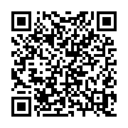 QR code for 291IUI