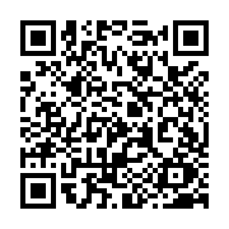 QR code for 291M