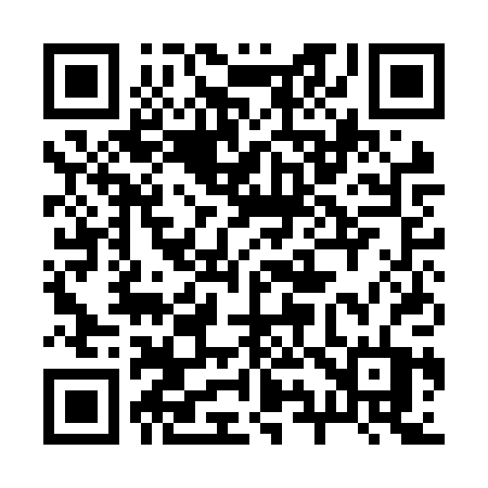 QR code for 291NPT