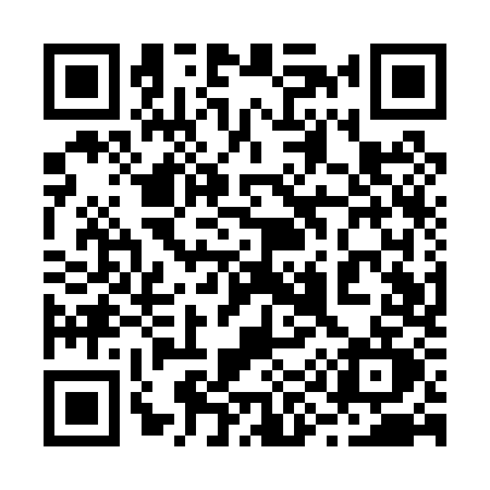 QR code for 291P