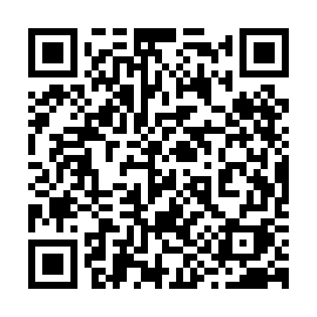 QR code for 291PGI