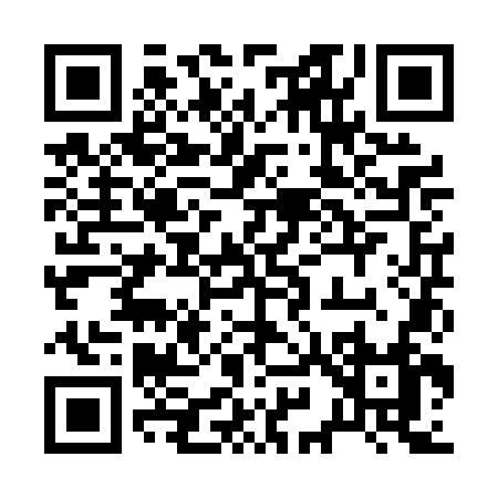 QR code for 291PN