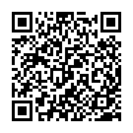 QR code for 291PXS