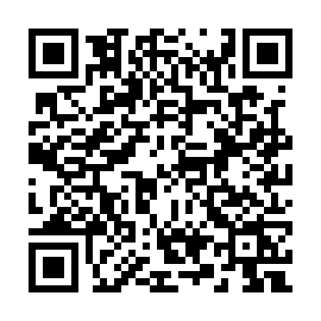 QR code for 291Q
