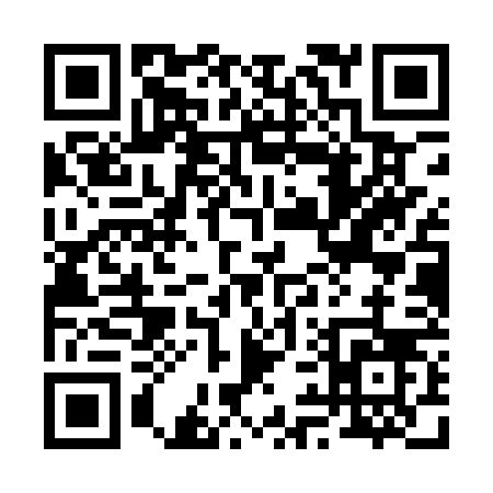 QR code for 291QV