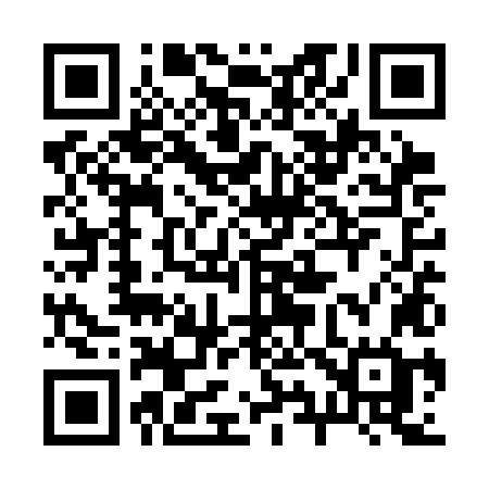 QR code for 291SLG