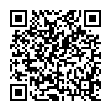 QR code for 291U