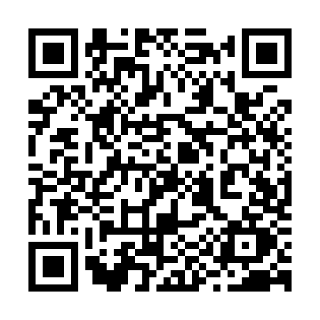 QR code for 291Y