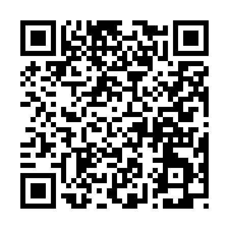 QR code for 293AI