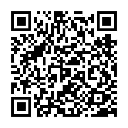 QR code for 293FEX