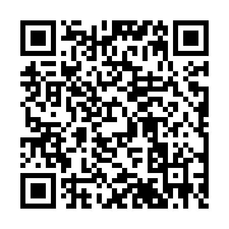 QR code for 293MP