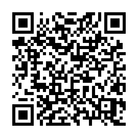 QR code for 293NLP