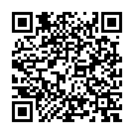 QR code for 293P