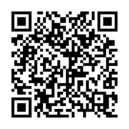 QR code for 293SIC