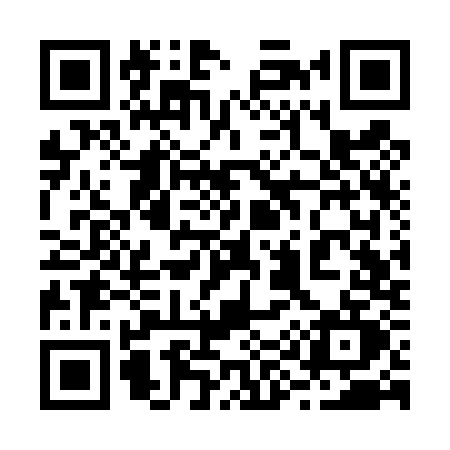 QR code for 293T