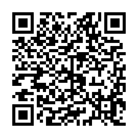 QR code for 293XI