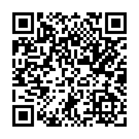 QR code for 293XM