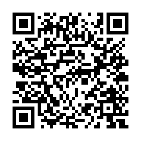 QR code for 293ZU