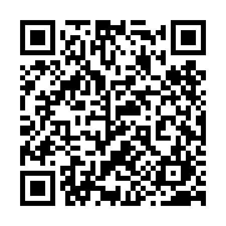 QR code for 294DBL