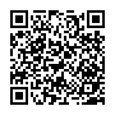 QR code for 294DE