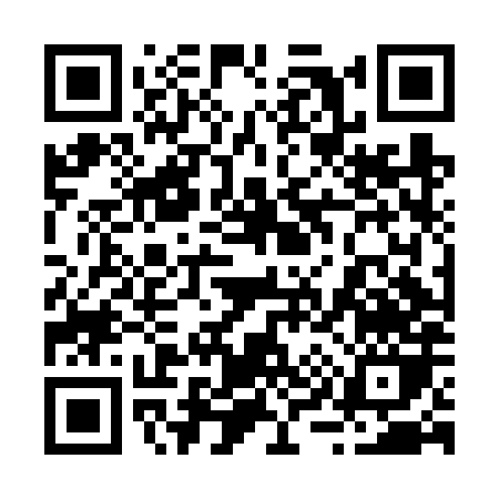 QR code for 294FX
