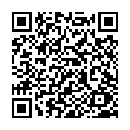 QR code for 294G