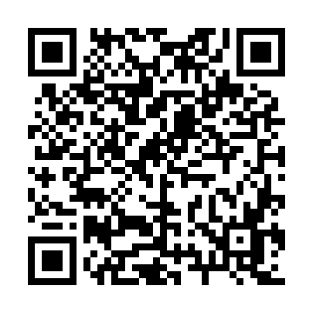 QR code for 294H