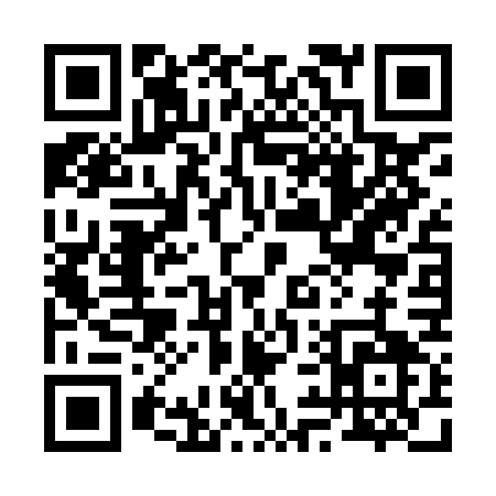 QR code for 294HG