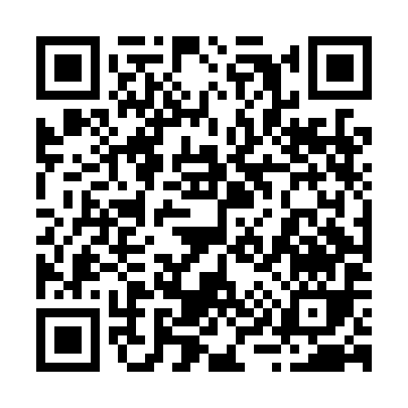 QR code for 294LI