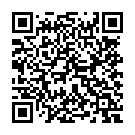 QR code for 294LUL