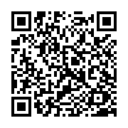 QR code for 294M