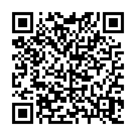 QR code for 294PPV