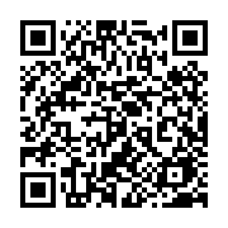 QR code for 294PZE