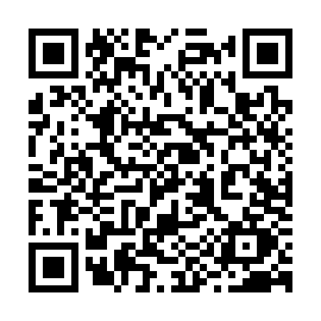 QR code for 294S