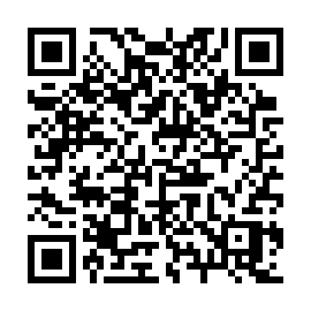 QR code for 294SSR